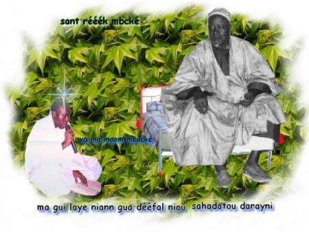                                     serigne fallou